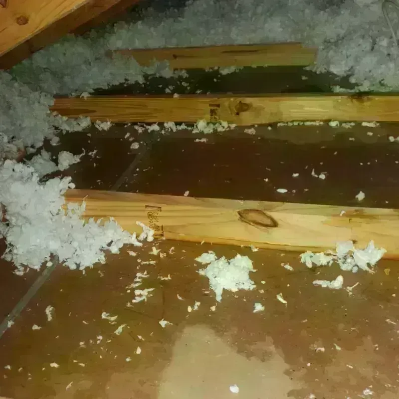 Attic Water Damage in Avon Center, OH