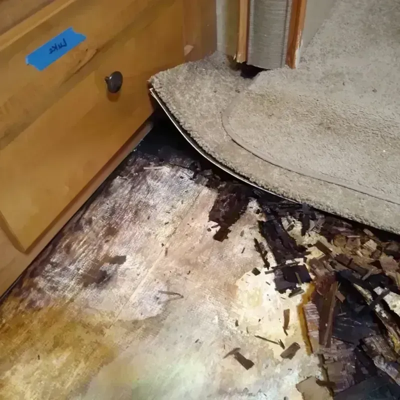 Best Wood Floor Water Damage Service in Avon Center, OH